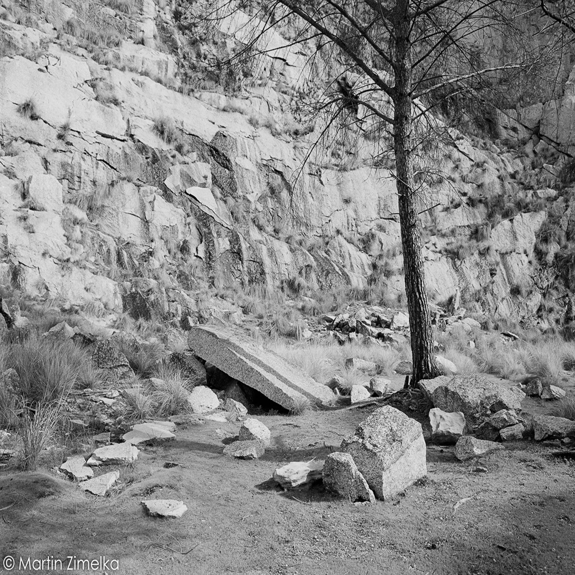 Ortho 25 plus Schwarzweiß-Negativfilm | 35 mm | 36 Aufnahmen | ISO 25 - Image 4